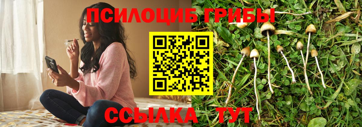 Псилоцибиновые грибы Psilocybine cubensis  Вход с VPN  Псилоцибиновые грибы Magic Shrooms  Гусиноозёрск 